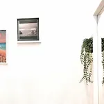 3 Bedroom House In Old Town דירה דוברובניק